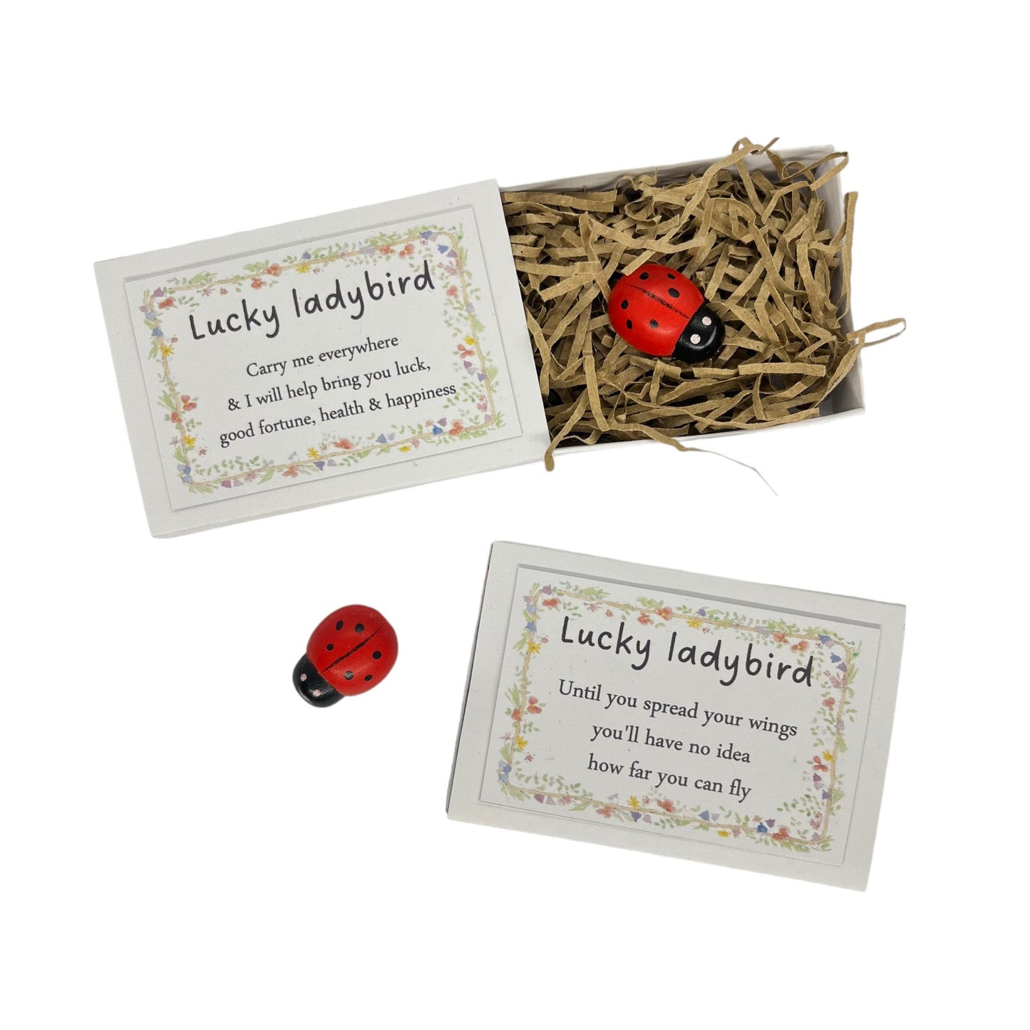 Lucky ladybird matchbox gift image 0