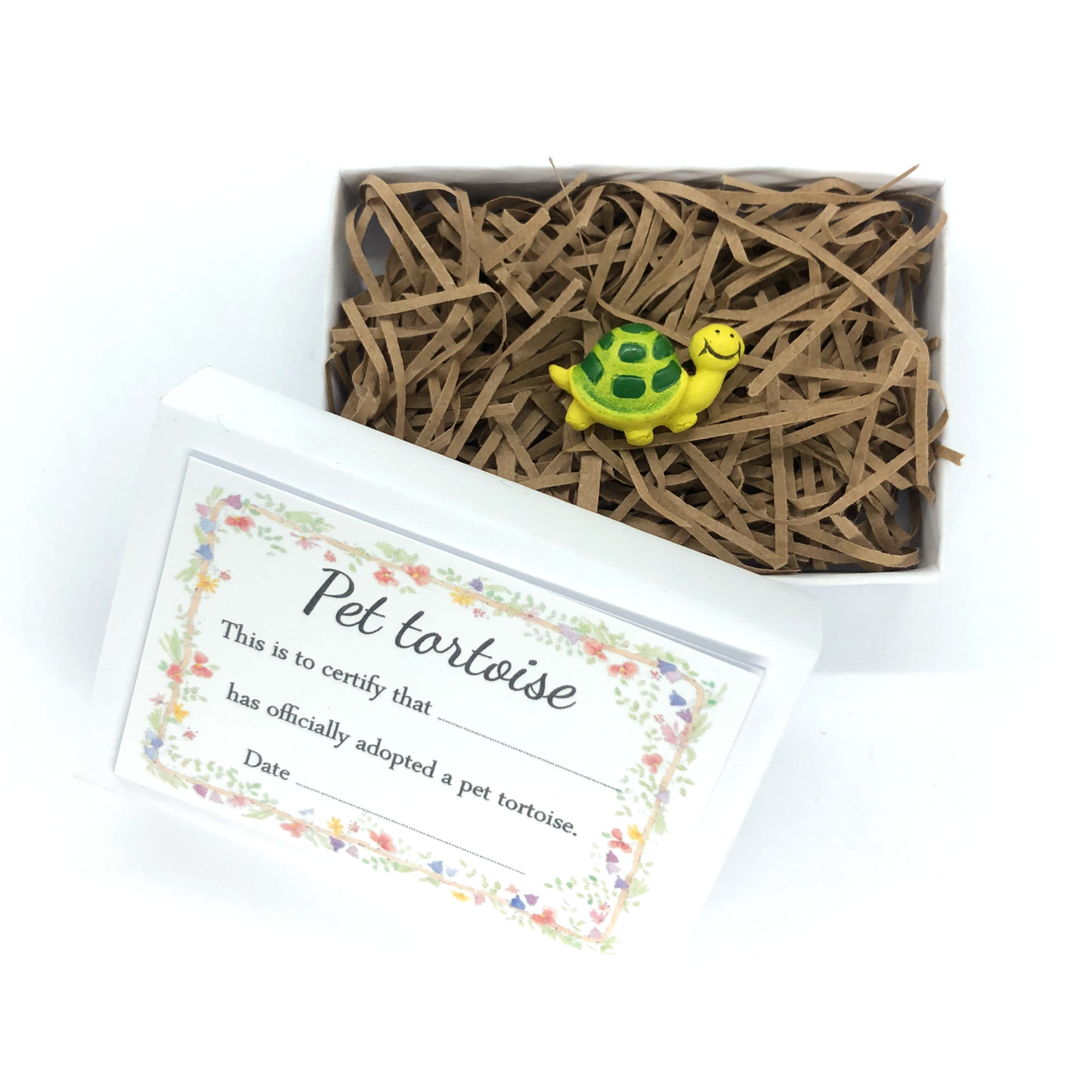 Pet tortoise matchbox gift image 0