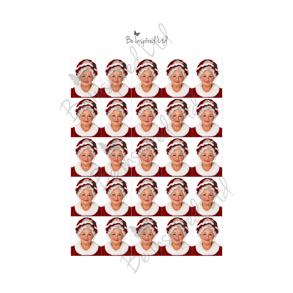 Mrs Claus passport photo (digital download)