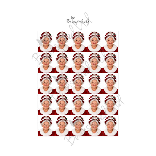 Mrs Claus passport photo (digital download)